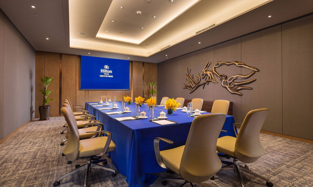 乌鲁木齐希尔顿酒店会议 (3)