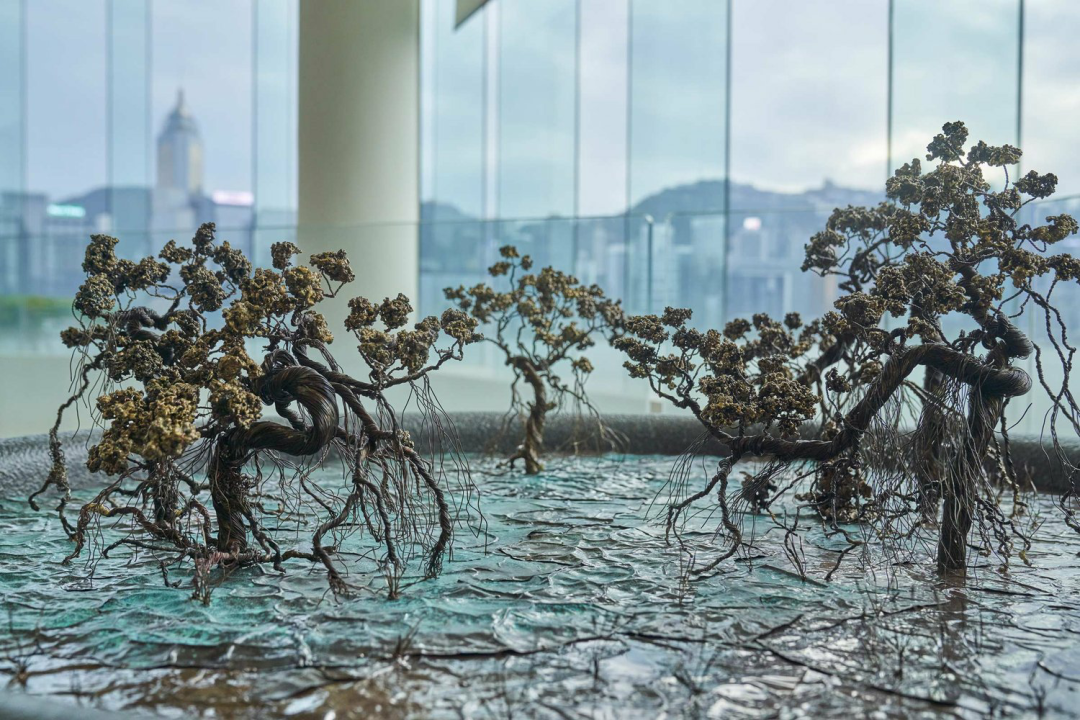 香港丽晶酒店 (1)