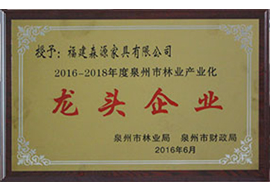 龙头企业2016