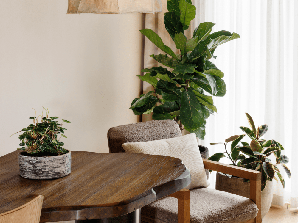 墨尔本1酒店 (2)