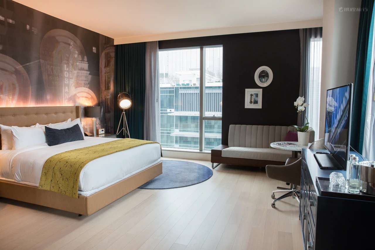 美国洛杉矶英迪格酒店 (7)