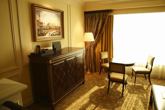 澳门威尼斯人度假村酒店 (25)