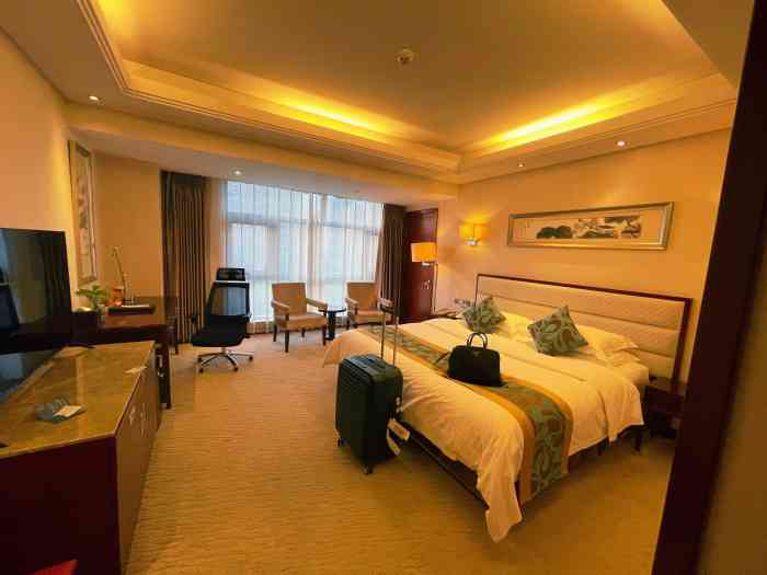 沧州阿尔卡迪亚国际酒店 (5)