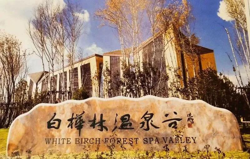河北涞源白桦林温泉谷酒店 (2)