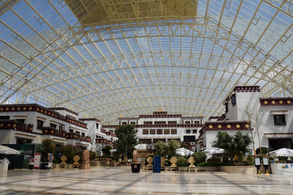 拉萨天堂洲际酒店 (4)