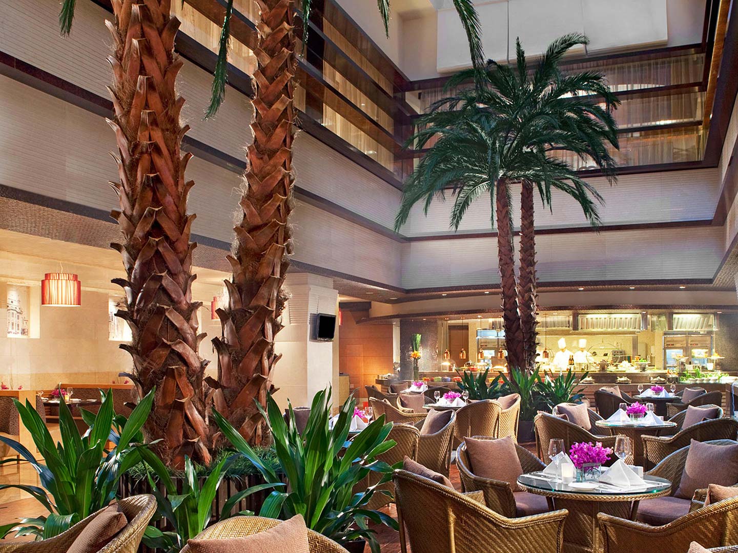 天津滨海喜来登酒店 (51)